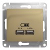 Розетка 2xUSB SYSTEME ELECTRIC GLOSSA, титан
