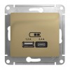 Розетка 2xUSB SYSTEME ELECTRIC GLOSSA, скрытый монтаж, титан, GSL000439