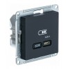 Розетка USB type C SYSTEME ELECTRIC ATLASDESIGN, скрытый монтаж, карбон, ATN001027