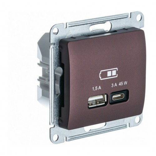 Розетка USB+USB type C SYSTEME ELECTRIC GLOSSA, скрытый монтаж, баклажановый, GSL001129