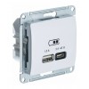 Розетка USB+USB type C SYSTEME ELECTRIC GLOSSA, скрытый монтаж, белый, GSL000129