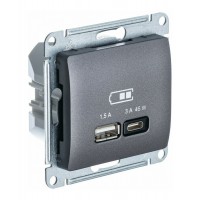 Розетка USB+USB type C SYSTEME ELECTRIC GLOSSA, скрытый монтаж, графит, GSL001329