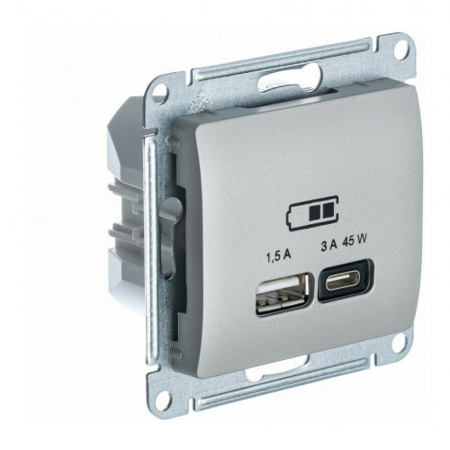 Розетка USB+USB type C SYSTEME ELECTRIC GLOSSA, скрытый монтаж, платина, GSL001229