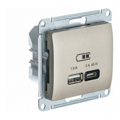 Розетка USB+USB type C SYSTEME ELECTRIC GLOSSA, скрытый монтаж, титан, GSL000429