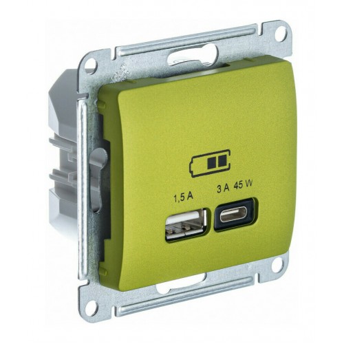 Розетка USB+USB type C SYSTEME ELECTRIC GLOSSA, скрытый монтаж, фисташковый, GSL001029