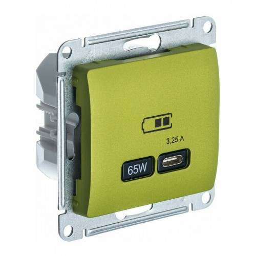 Розетка USB type C SYSTEME ELECTRIC GLOSSA, скрытый монтаж, фисташковый, GSL001027
