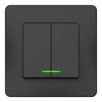 Выключатель 2-клавишный SYSTEME ELECTRIC BLANCA с подсветкой, скрытый монтаж, антрацит, BLNVS010516