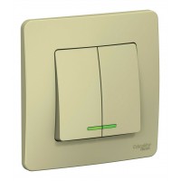 Выключатель 2-клавишный SYSTEME ELECTRIC BLANCA, скрытый монтаж, бежевый, BLNVS010517