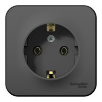 Розетка SYSTEME ELECTRIC BLANCA, открытый монтаж, с заземлением, антрацит, BLNRA010116
