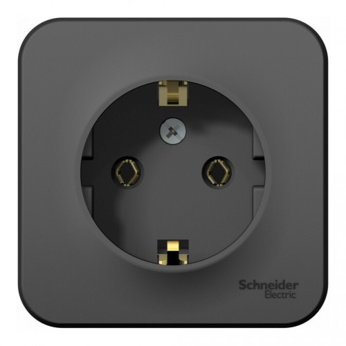 Розетка SYSTEME ELECTRIC BLANCA, открытый монтаж, с заземлением, антрацит, BLNRA010106