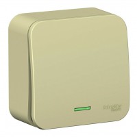 Выключатель 1-клавишный SYSTEME ELECTRIC BLANCA, открытый монтаж, бежевый, BLNVA101117