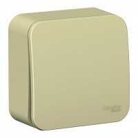 Выключатель 1-клавишный SYSTEME ELECTRIC BLANCA, открытый монтаж, бежевый, BLNCA101017