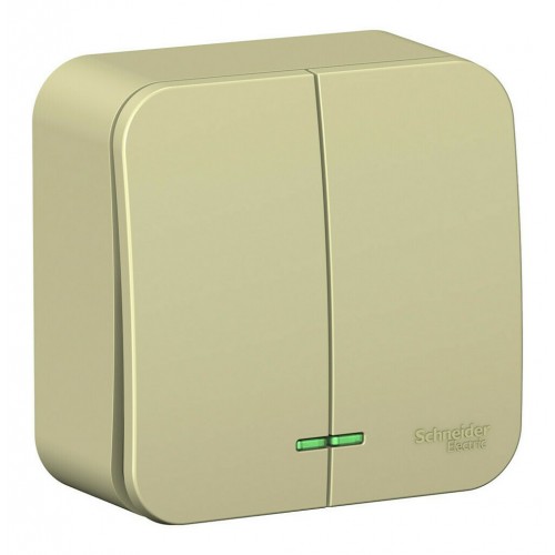 Выключатель 2-клавишный SYSTEME ELECTRIC BLANCA, открытый монтаж, бежевый, BLNVA105117