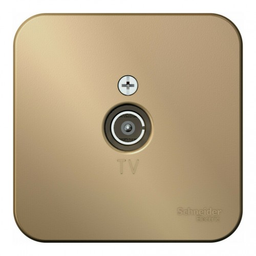 Розетка TV SYSTEME ELECTRIC BLANCA, оконечная, открытый монтаж, титан, BLNTA000014