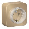 Розетка SYSTEME ELECTRIC BLANCA, открытый монтаж, с заземлением, титан, BLNRA110114